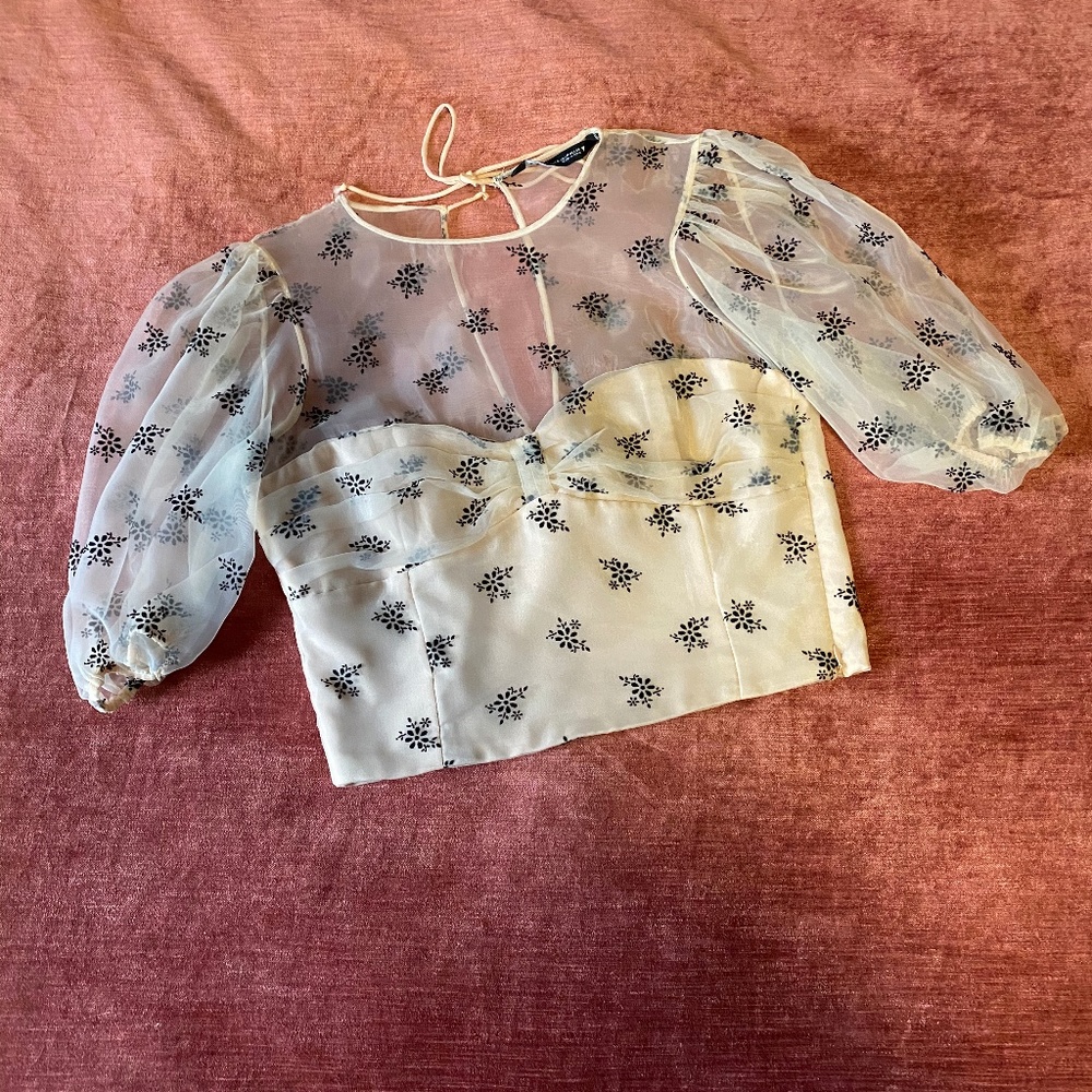 ZARA Blush Organza Crop Top SZ Med (Gently-used)